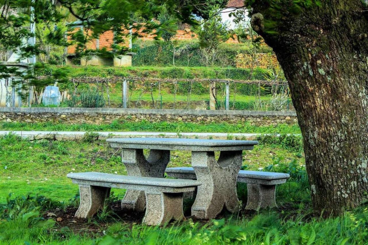 Viana Do Castelo - Amonde Village Casa P - Conforto Qualidade Natureza Buitenkant foto